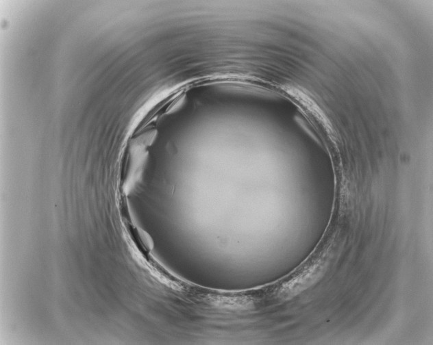 X0000087050941200704251000