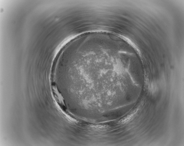 X0000087050943200704251000