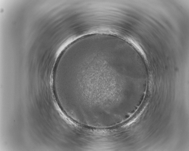 X0000087050944200704251000