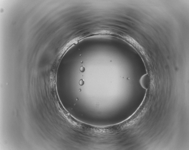 X0000087050945200704251000