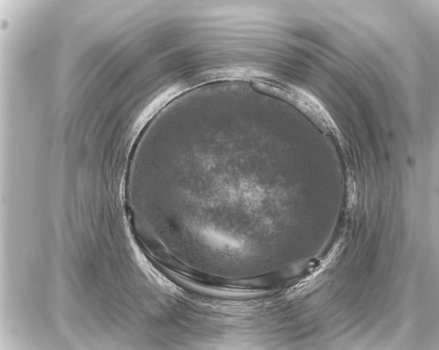 X0000087050946200704251000