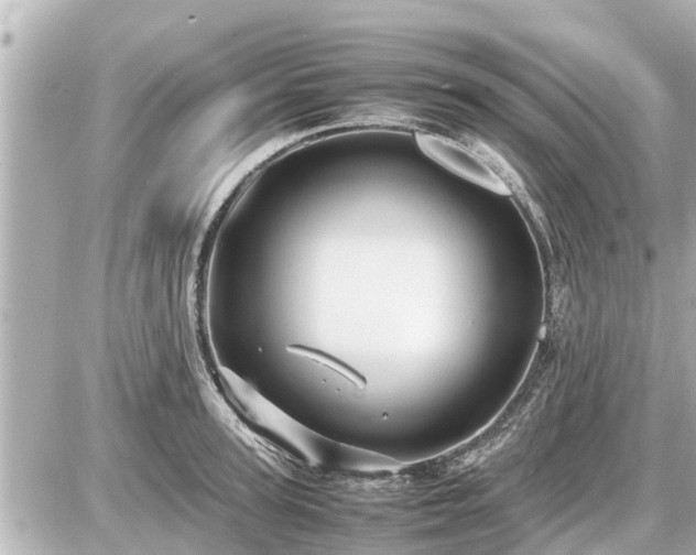 X0000087050947200704251000