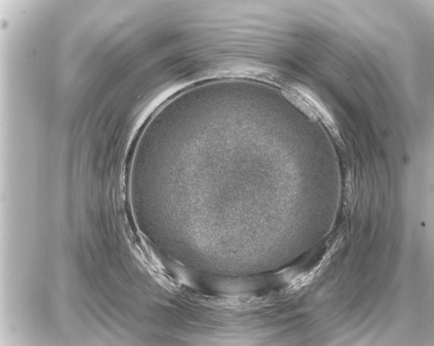 X0000087050948200704251000