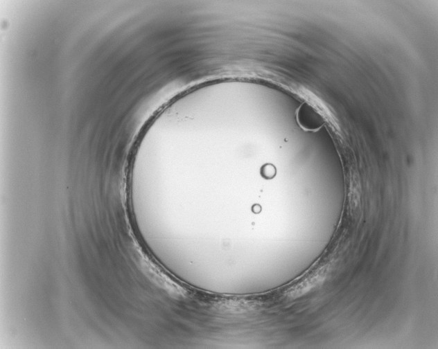 X0000087050950200704251001