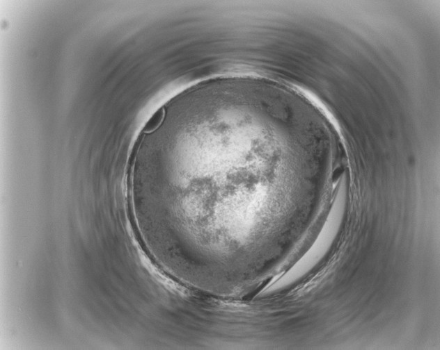 X0000087050951200704251001