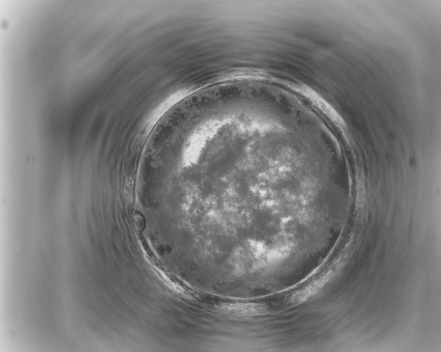 X0000087050953200704251001