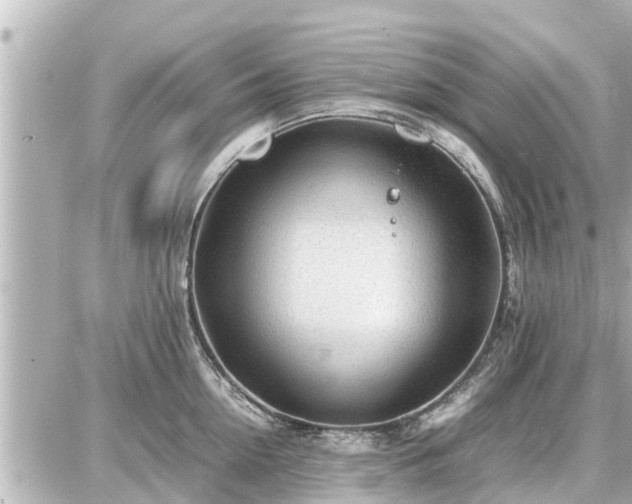 X0000087050954200704251001