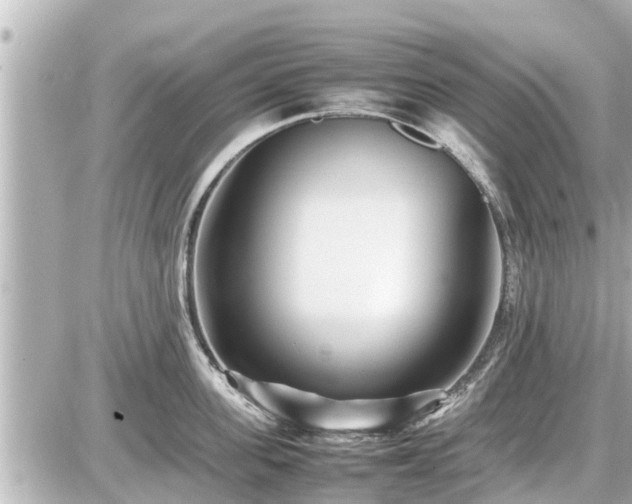 X0000087050955200704251001