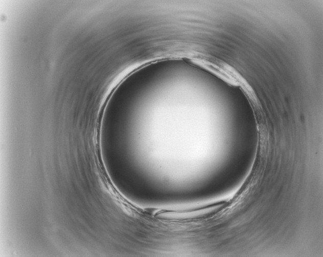 X0000087050956200704251001