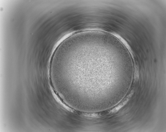 X0000087050957200704251001