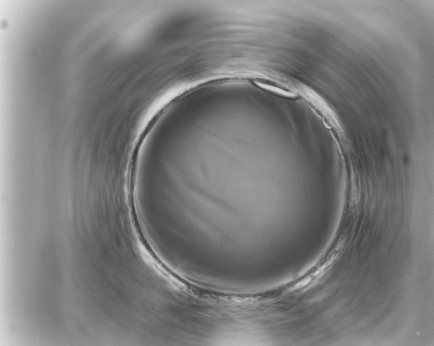 X0000087050958200704251001