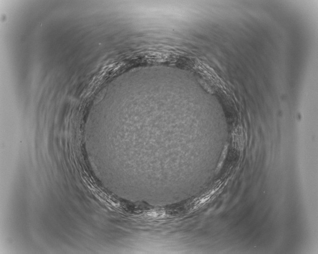 X0000087050961200704251000