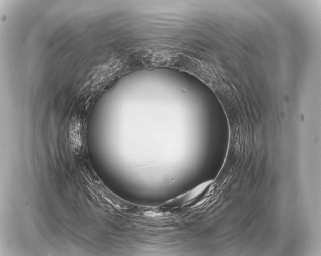 X0000087050962200704251000