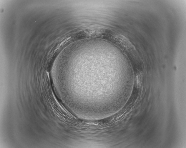 X0000087050963200704251000