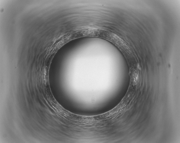 X0000087050964200704251000