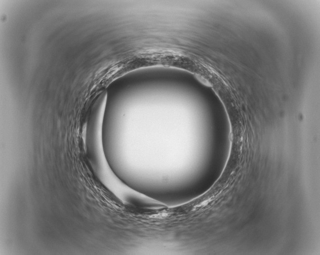 X0000087050965200704251000