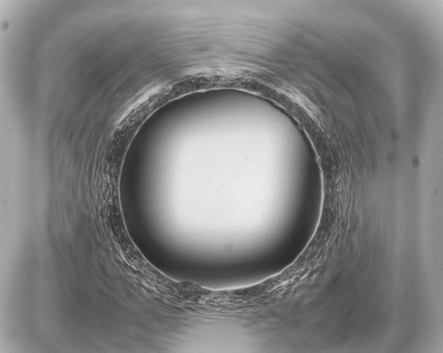 X0000087050967200704251000