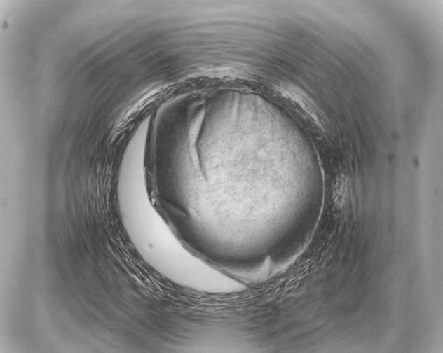 X0000087050968200704251000