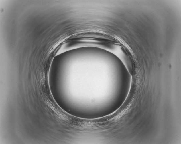 X0000087050969200704251000