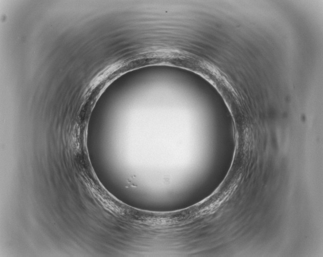 X0000087050970200704251000