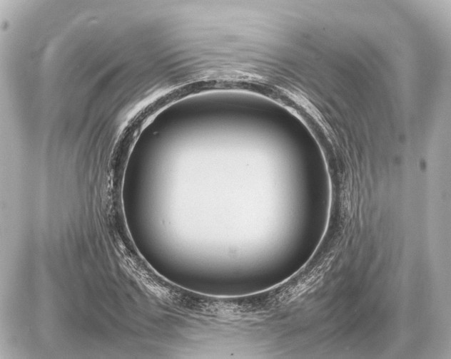 X0000087050971200704251000