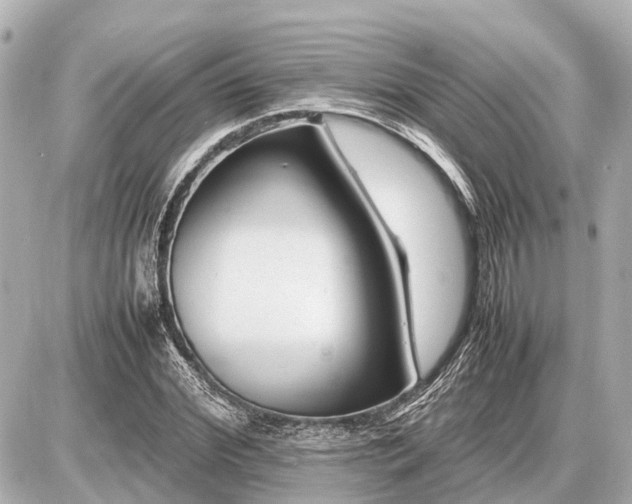 X0000087050972200704251000