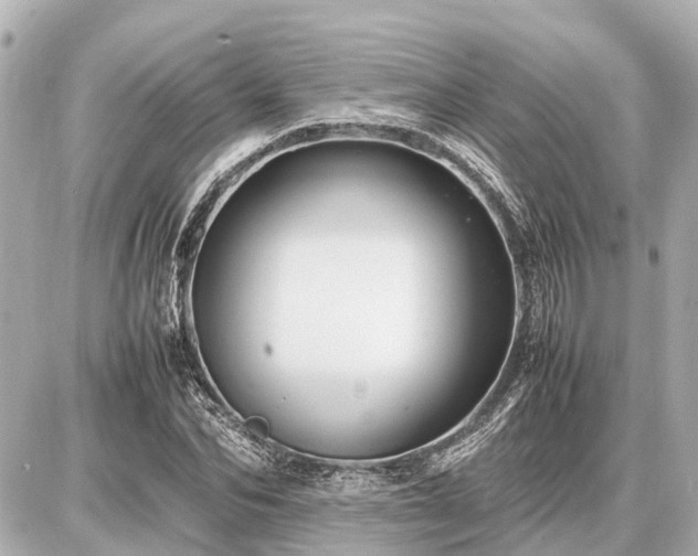 X0000087050974200704251000