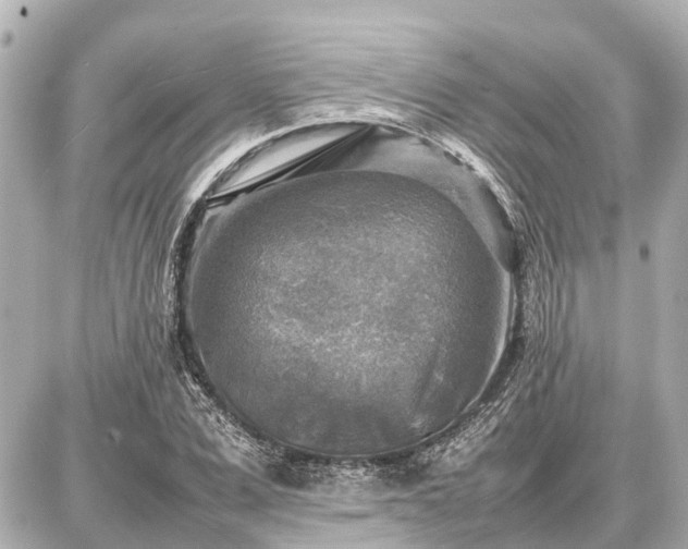 X0000087050975200704251000