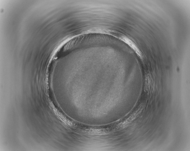 X0000087050976200704251000