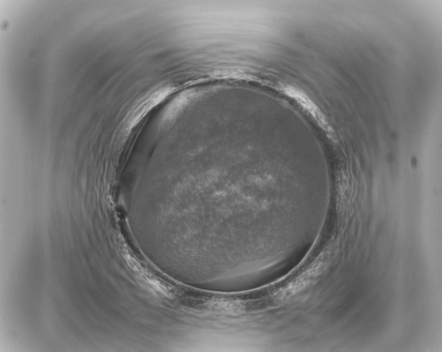 X0000087050977200704251000