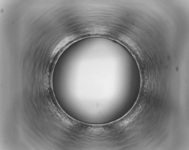 X0000087050978200704251000