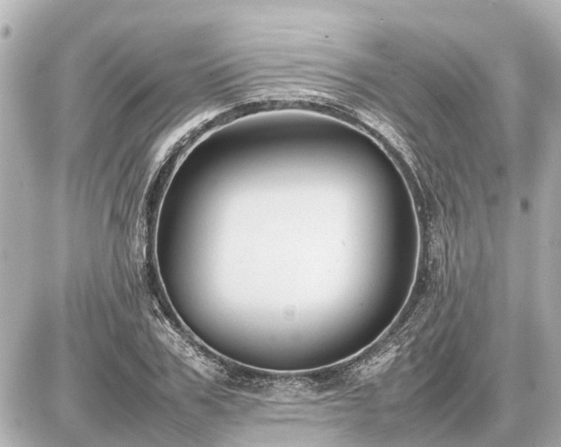 X0000087050979200704251000