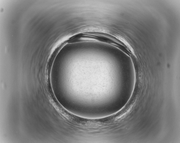 X0000087050981200704251000