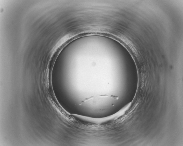 X0000087050982200704251000