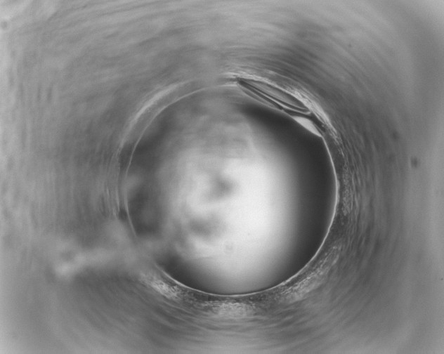 X0000087050984200704251000