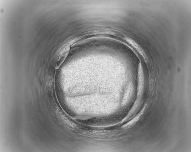 X0000087050985200704251000