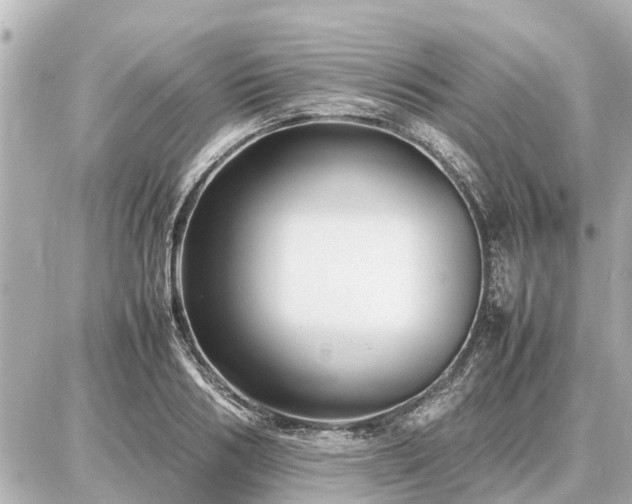 X0000087050986200704251000