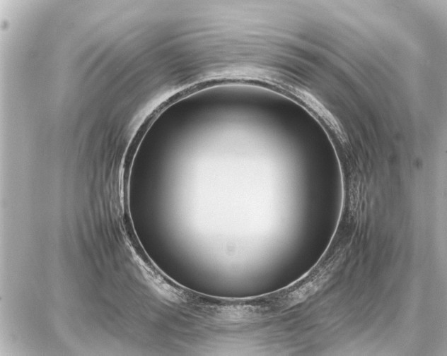 X0000087050988200704250959