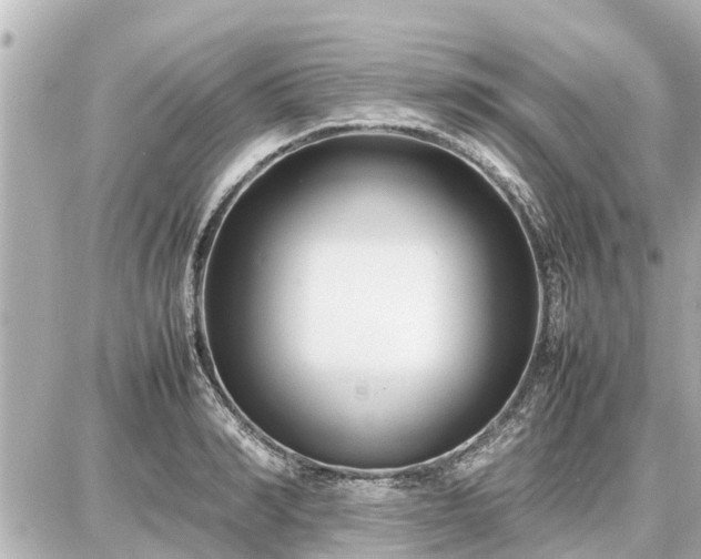 X0000087050990200704250959