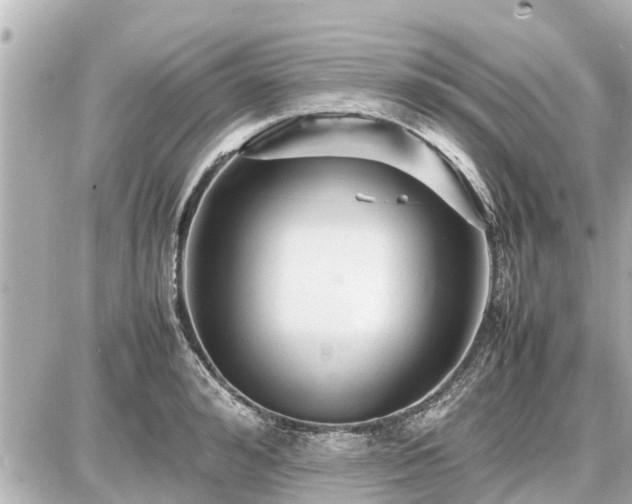 X0000087050992200704250959