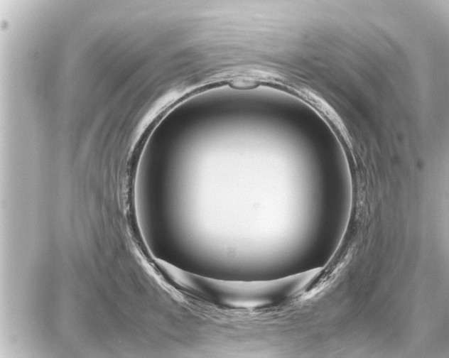 X0000087050997200704250959