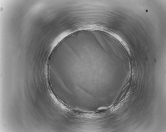 X0000087050998200704250959