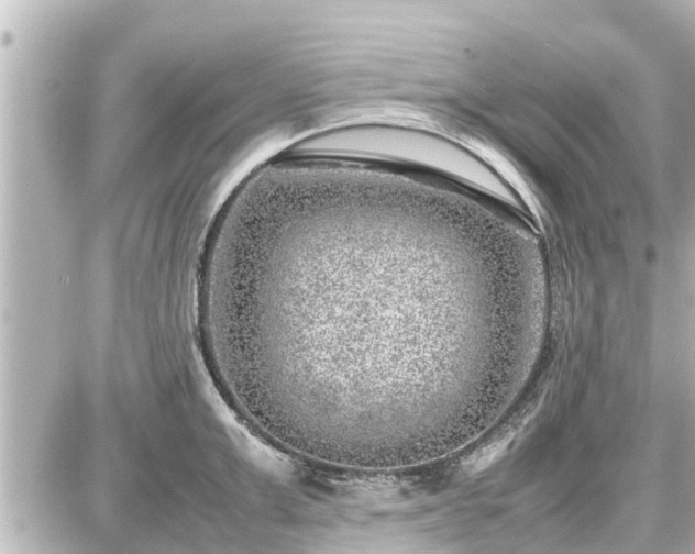 X0000087050999200704250959