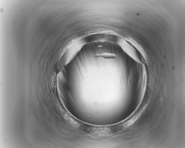 X0000087051001200704250959