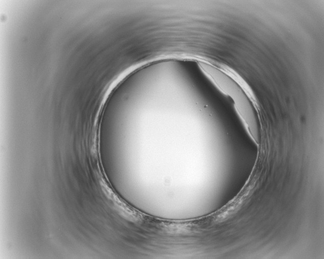 X0000087051004200704250959