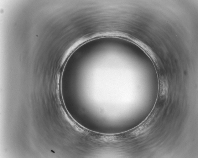 X0000087051006200704250959