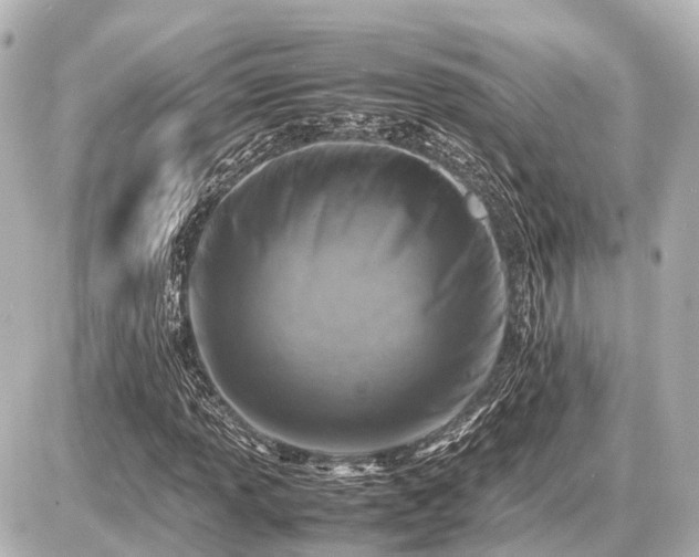 X0000087051013200704250958