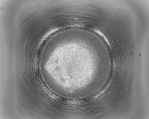 X0000087051019200704250959