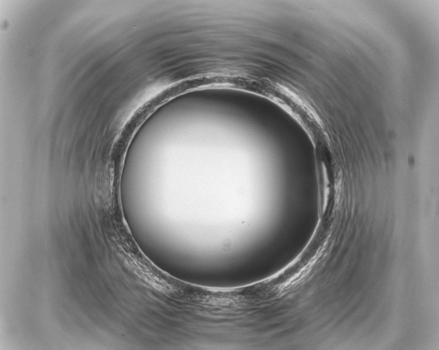 X0000087051021200704250959