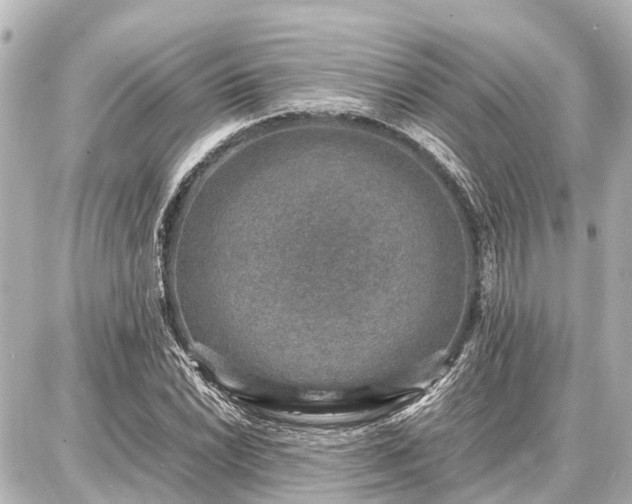 X0000087051022200704250959